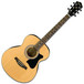 Ibanez VC50NJP Concert Body Acoustic Guitar JamPack