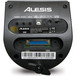 Alesis DM6