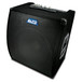 Alto Kick 12 250W Instrument Amp - main