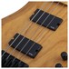 Schecter Riot Session-4 Bass Guitar, Natural