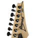 Ibanez APEX20 Munky Signature Series 7-String