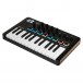 MiniLab MK3 MIDI Keyboard Controller, Black - Angled