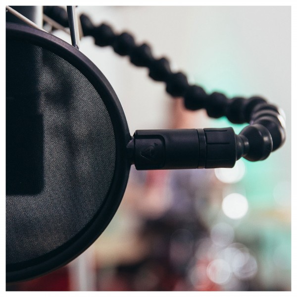 Pop Audio Gooseneck - Lifestyle