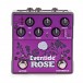 Eventide Rose