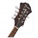 Fender Paramount PM-180E Mandolin, Aged Cognac Burst