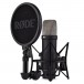 Rode NT1 5th Gen XLR and USB-C Studio Microphone, Black