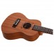 Flight NUC310 Concert Ukulele, Sapele - Body