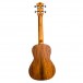 Flight Juliana Concert Ukulele, Acacia - Back