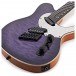 Ormsby TX Exotic 6, Purr Pull