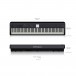 Roland FP-E50 Entertainment Piano dimensions