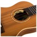 Flight Leia Concert Electro Thinline Ukulele, Cedar - Electronics