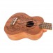 Flight NUS350DC Soprano Ukulele, Dreamcatcher - Body