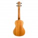 Flight DUC373 Concert Ukulele, African Mahogany - Back