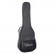 Takamine GD38CE Dreadnought 12 String Electro Acoustic, Black Gloss gig bag