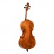 Vhienna Ideale Cello - 2