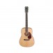 CBV2282 prim