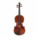 Primavera Loreato Violin Outfit - 2