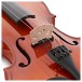 Stagg Electroacoustic Violin, Full Size