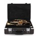 Yamaha YCR6335 Professional Cornet with Clear Lacquer Finish