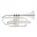 Yamaha YCR6335 Professional Cornet, Silver Plated