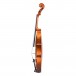 Vhienna Orchestra Violin Outfit - 4