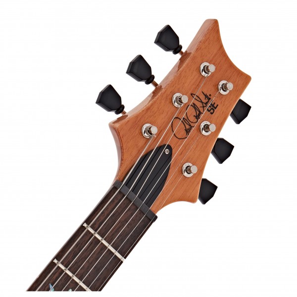 PRS SE Pauls Guitar, Faded Blue Burst