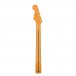 Fender Player Plus Stratocaster Neck 22 Medium Jumbo Frets, Maple back