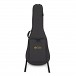 Martin GPC-11E Road Series Electro Acoustic