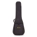Martin BC-16E Electro Acoustic Bass