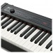 Korg D1 Digital Stage Piano close