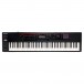 Roland Fantom-08 Synthesizer Keyboard - Top