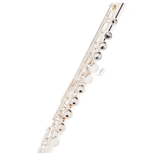 Roy Benson FL402E Flute
