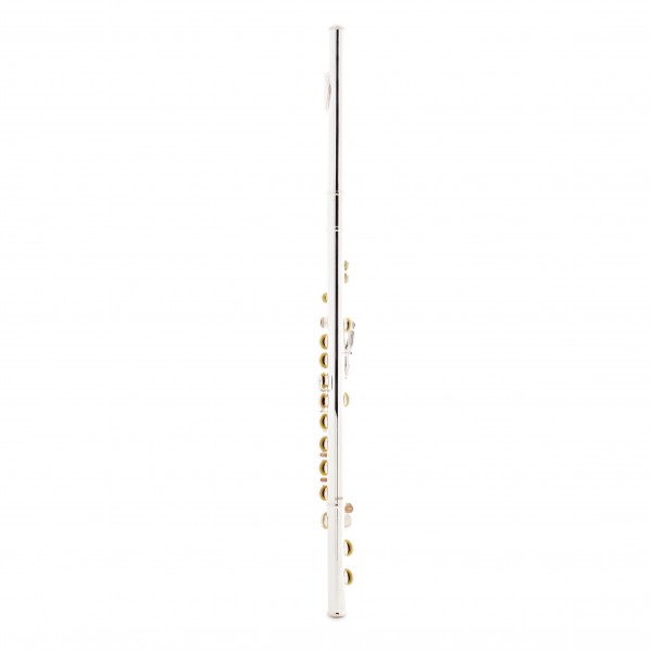 Roy Benson FL402E Flute