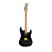 CBV6976 primary