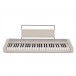 Casio CT-S1 Portable Keyboard, White