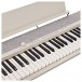 Casio CT-S1 Portable Keyboard, White