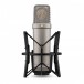 Rode NT1 5th Gen Condenser Microphone, Silver - Front with Mount