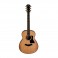 Taylor GTe Grand Theater, Urban Ash - Ex Demo