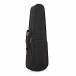 Cremona SVA130 Viola Outfit