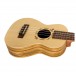 Flight DUC525 Concert Ukulele, Zebrano B&S (Solid Top) - Body