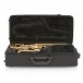 Yamaha YAS280 Student Alto Saxophone case open