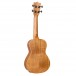 Flight DUC523CEQ Concert Electro Ukulele, Mahogany - Back