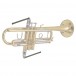 BG Trumpet/Cornet Valve Casing Swab - 2