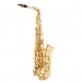 Grassi AS210 Master Series Alto Saxophone