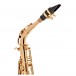 Grassi ACAS700GLS Academy Series Alto Saxophone, Gold Lacquer