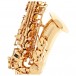 Grassi ACAS700GLS Academy Series Alto Saxophone, Gold Lacquer