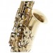 Grassi SAL700 School Series Alto Saxophone, Antiqued