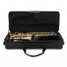 Grassi SAL700 School Series Alto Saxophone, Antiqued