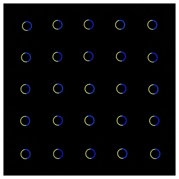 Equinox Eclipse RGBW Par Can with LED Ring - Effect 3
