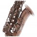 Grassi ACAS300W Academy Series Alto Saxophone, Antique